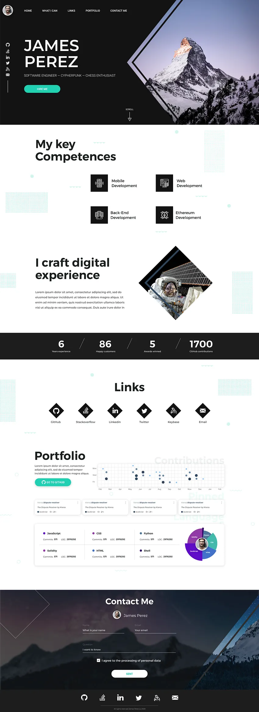 Developer Portfolio Interface